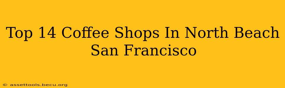 Top 14 Coffee Shops In North Beach San Francisco