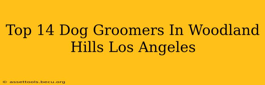 Top 14 Dog Groomers In Woodland Hills Los Angeles