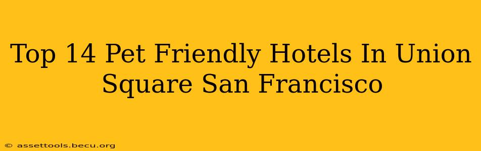 Top 14 Pet Friendly Hotels In Union Square San Francisco