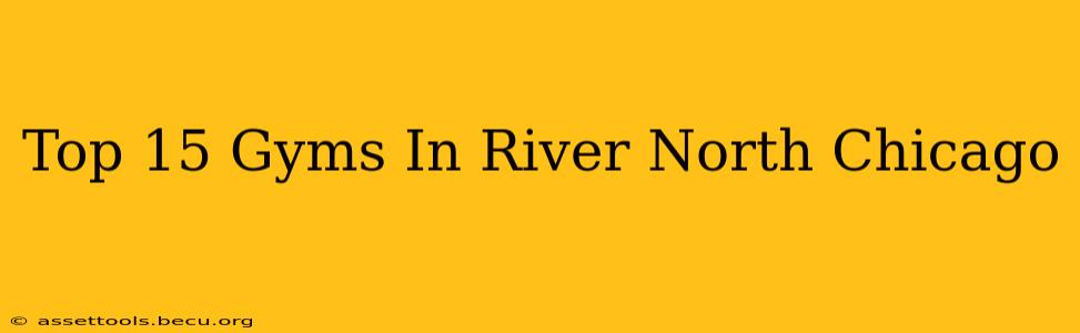 Top 15 Gyms In River North Chicago