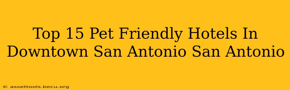 Top 15 Pet Friendly Hotels In Downtown San Antonio San Antonio