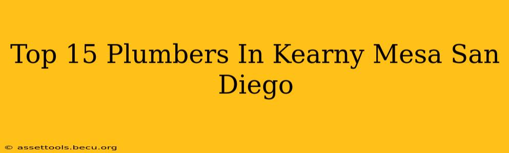 Top 15 Plumbers In Kearny Mesa San Diego
