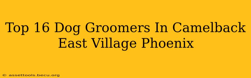 Top 16 Dog Groomers In Camelback East Village Phoenix