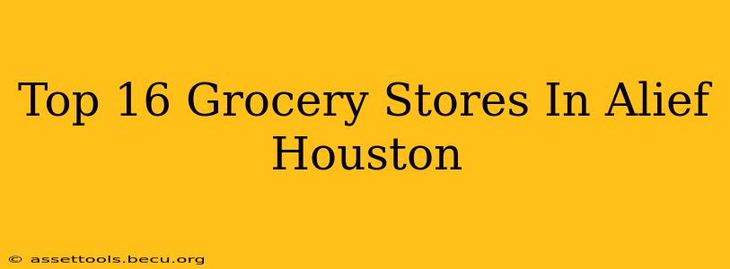 Top 16 Grocery Stores In Alief Houston
