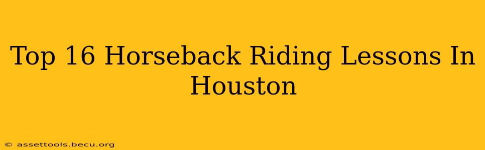 Top 16 Horseback Riding Lessons In Houston