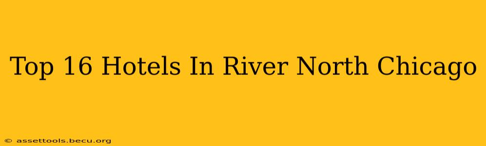 Top 16 Hotels In River North Chicago