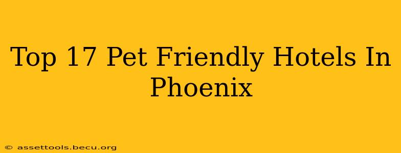 Top 17 Pet Friendly Hotels In Phoenix