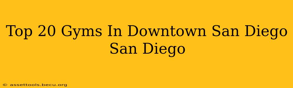 Top 20 Gyms In Downtown San Diego San Diego