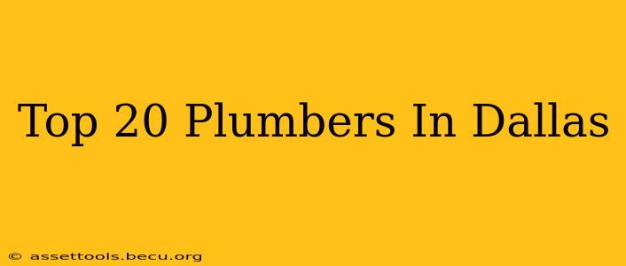Top 20 Plumbers In Dallas