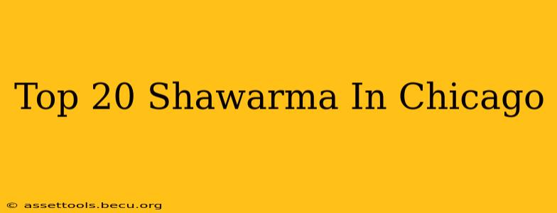 Top 20 Shawarma In Chicago