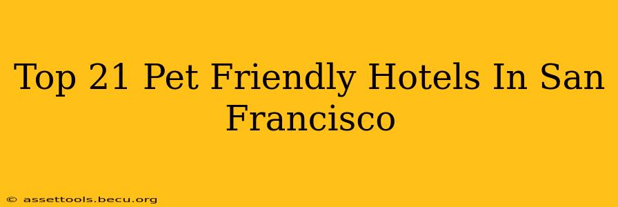 Top 21 Pet Friendly Hotels In San Francisco