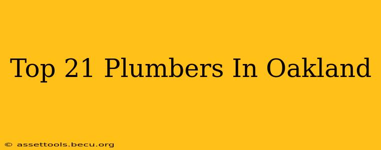 Top 21 Plumbers In Oakland