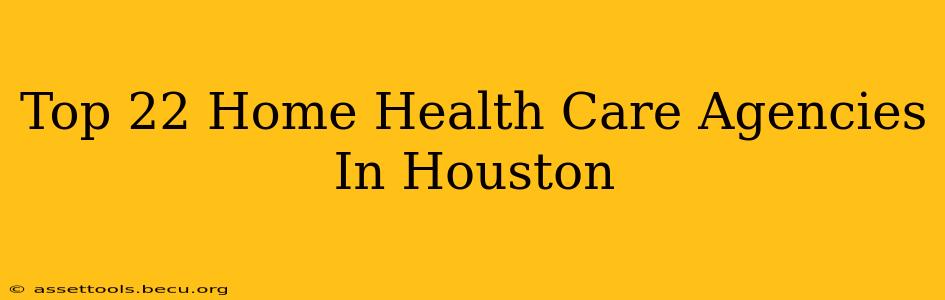 Top 22 Home Health Care Agencies In Houston