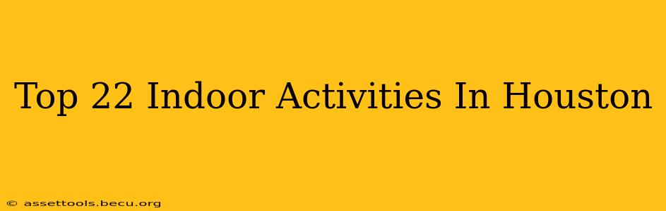 Top 22 Indoor Activities In Houston