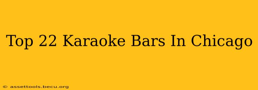 Top 22 Karaoke Bars In Chicago
