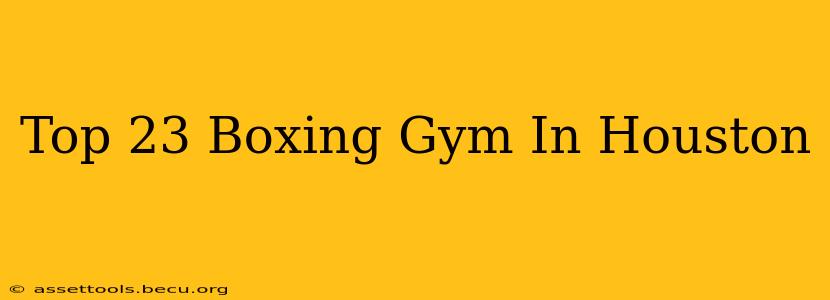 Top 23 Boxing Gym In Houston