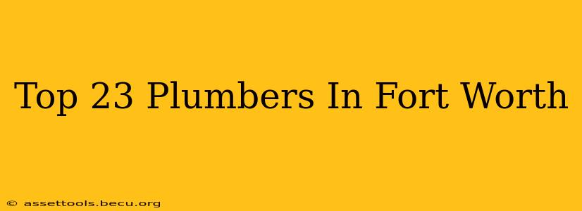 Top 23 Plumbers In Fort Worth