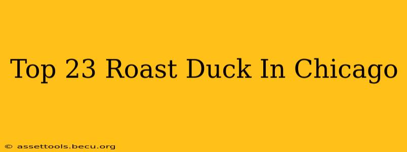 Top 23 Roast Duck In Chicago