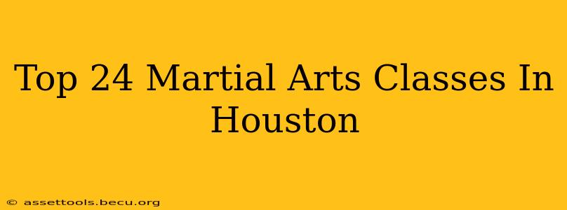 Top 24 Martial Arts Classes In Houston