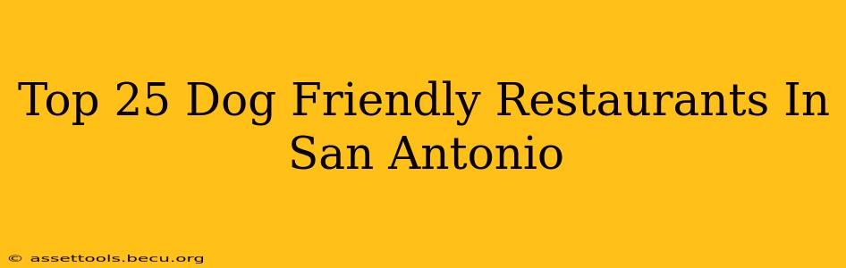 Top 25 Dog Friendly Restaurants In San Antonio