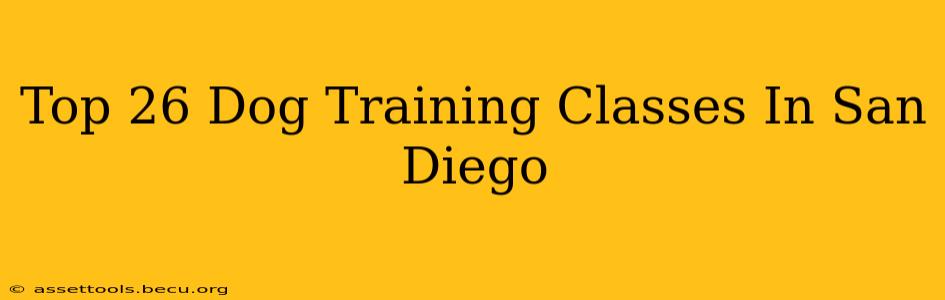 Top 26 Dog Training Classes In San Diego