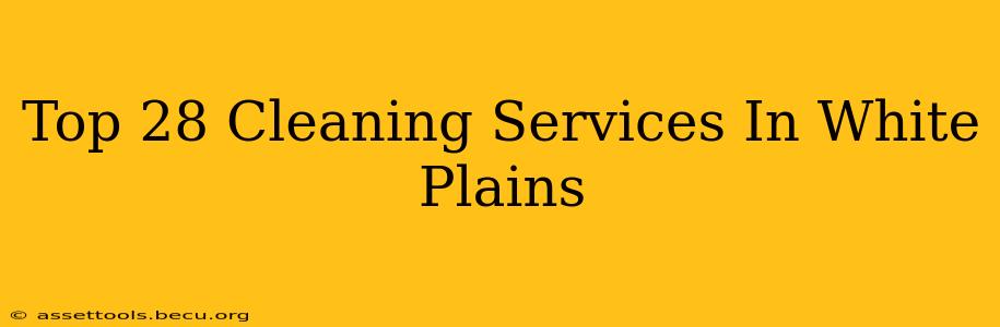 Top 28 Cleaning Services In White Plains