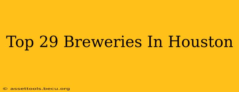 Top 29 Breweries In Houston