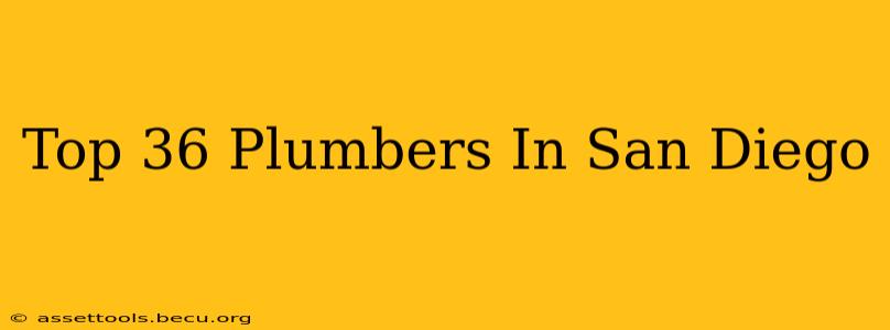 Top 36 Plumbers In San Diego