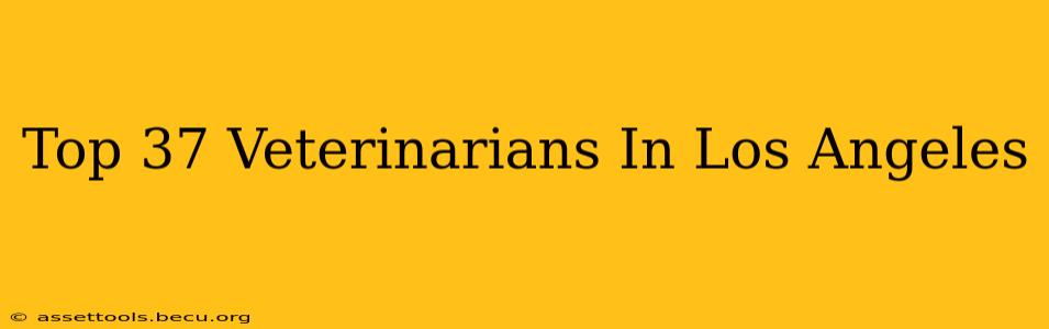 Top 37 Veterinarians In Los Angeles