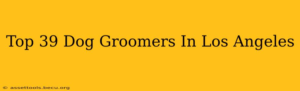 Top 39 Dog Groomers In Los Angeles