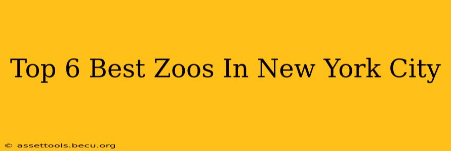 Top 6 Best Zoos In New York City