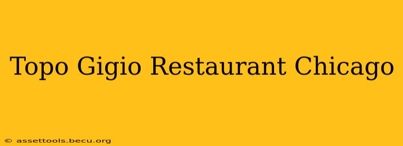 Topo Gigio Restaurant Chicago