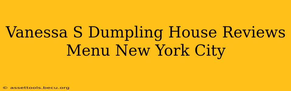 Vanessa S Dumpling House Reviews Menu New York City