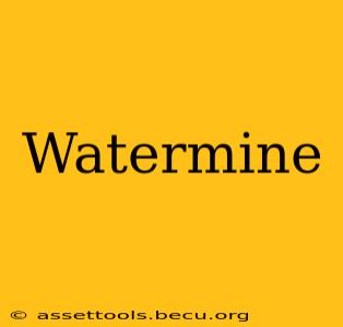 Watermine