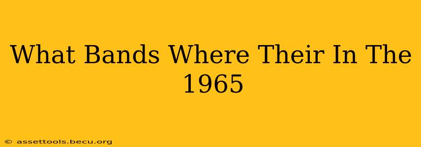 What Bands Where Their In The 1965