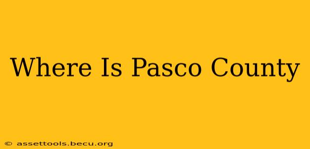 Where Is Pasco County
