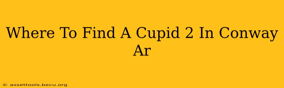 Where To Find A Cupid 2 In Conway Ar
