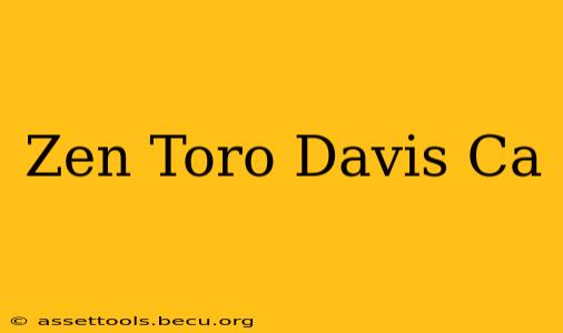 Zen Toro Davis Ca
